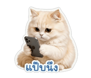 854336727