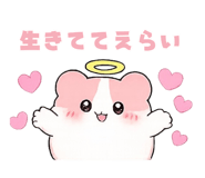 854343944