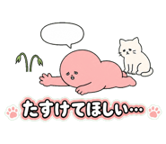 854344453