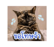 854345018