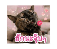 854345022