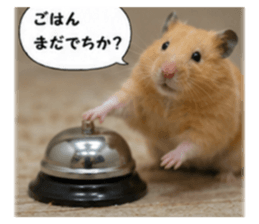 854345951