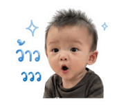 854346558