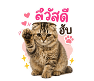 854347153