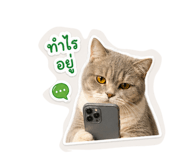 854348526