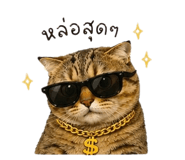 854348837