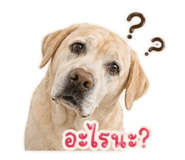 854349324