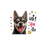 854353900
