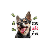 854353903