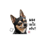 854353904