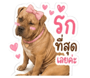 854353995