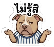 854354550