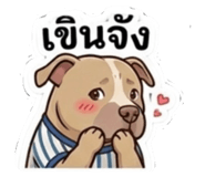 854354557