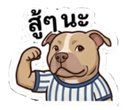 854354559
