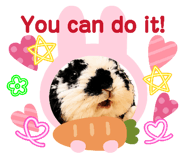 854355365