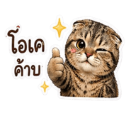 854355970