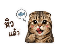 854355980