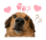 854358069
