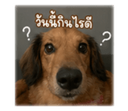 854358092