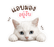 854358578