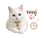 854358580