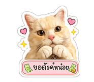 854360057
