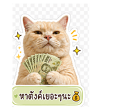 854360068