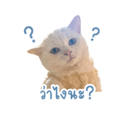 854360587