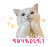854360589
