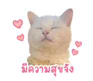 854360594
