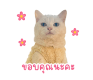 854360599