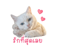 854360600