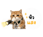 854360649