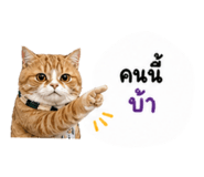 854360651