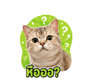 854363310