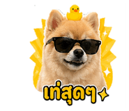 854363312