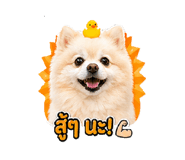 854363315