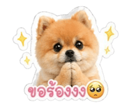 854363808