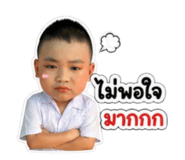 854366255