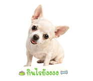 854368123