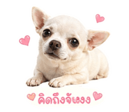 854368124