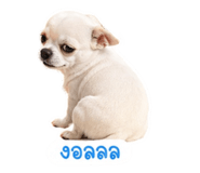 854368128