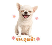 854368130