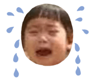 854368646