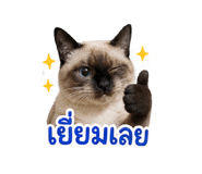 854372333
