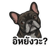 854373214