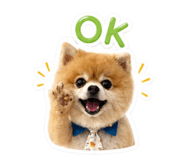 854374460