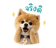 854374480