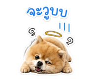 854374490