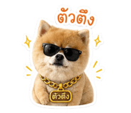 854374495